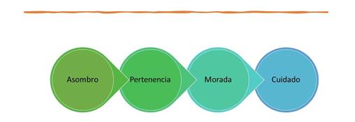 A diagram of different colored circles

Description automatically generated